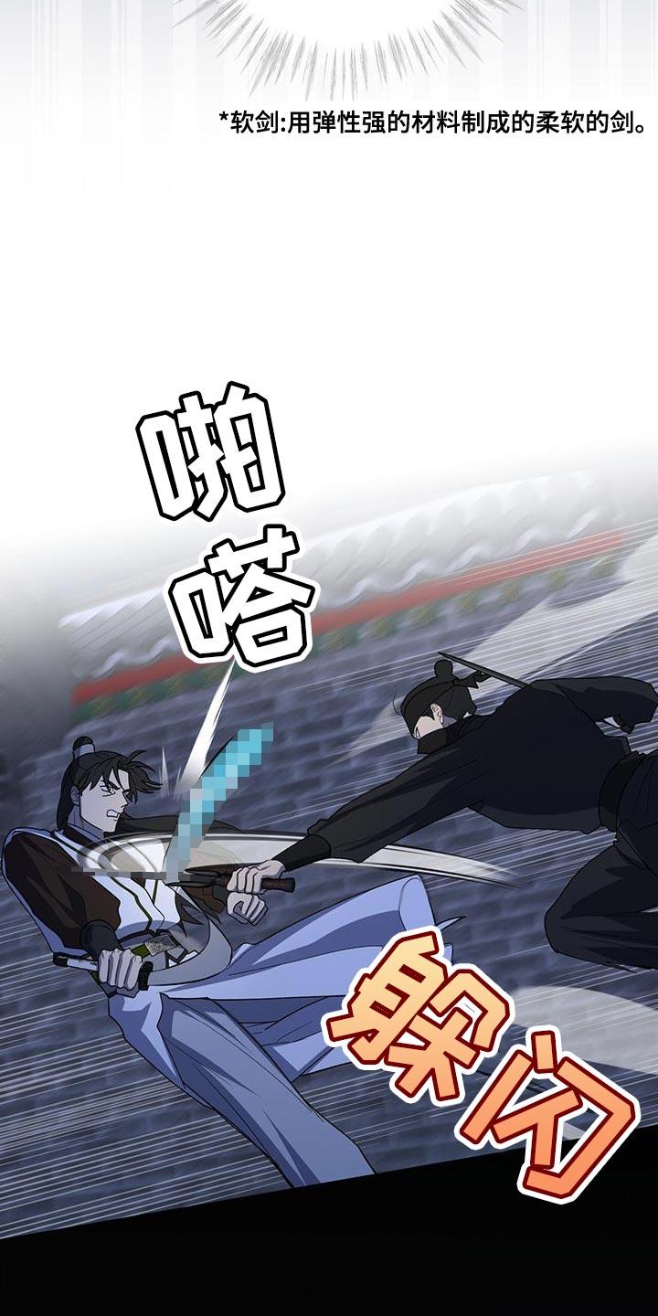 《魔影护卫》第44章：太不寻常了 第4页