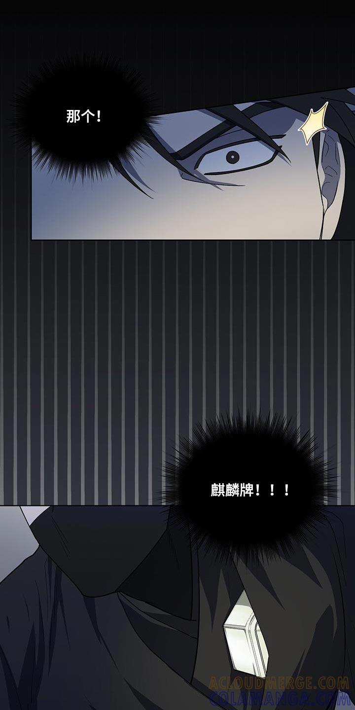 《魔影护卫》第44章：太不寻常了 第5页