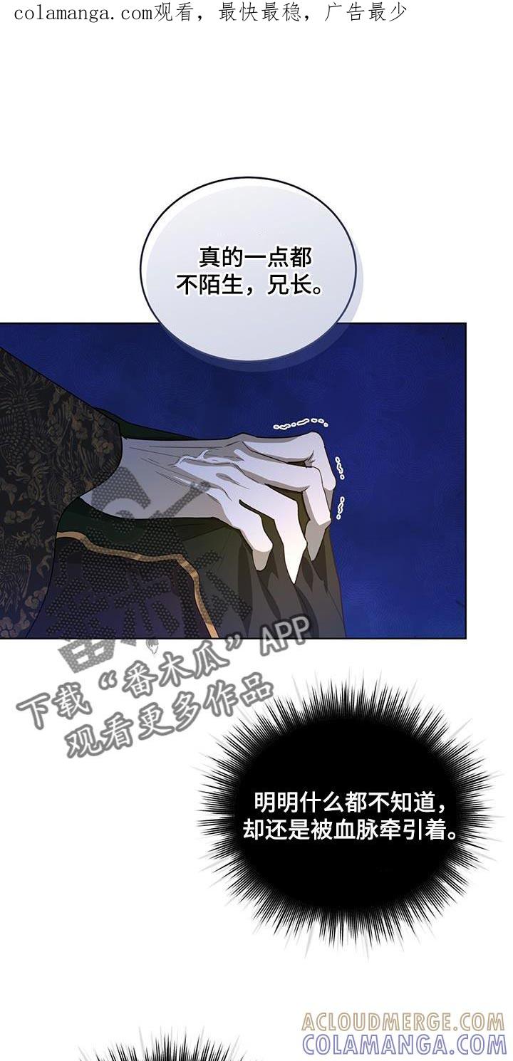 《魔影护卫》第50章：我们的缘分 第1页