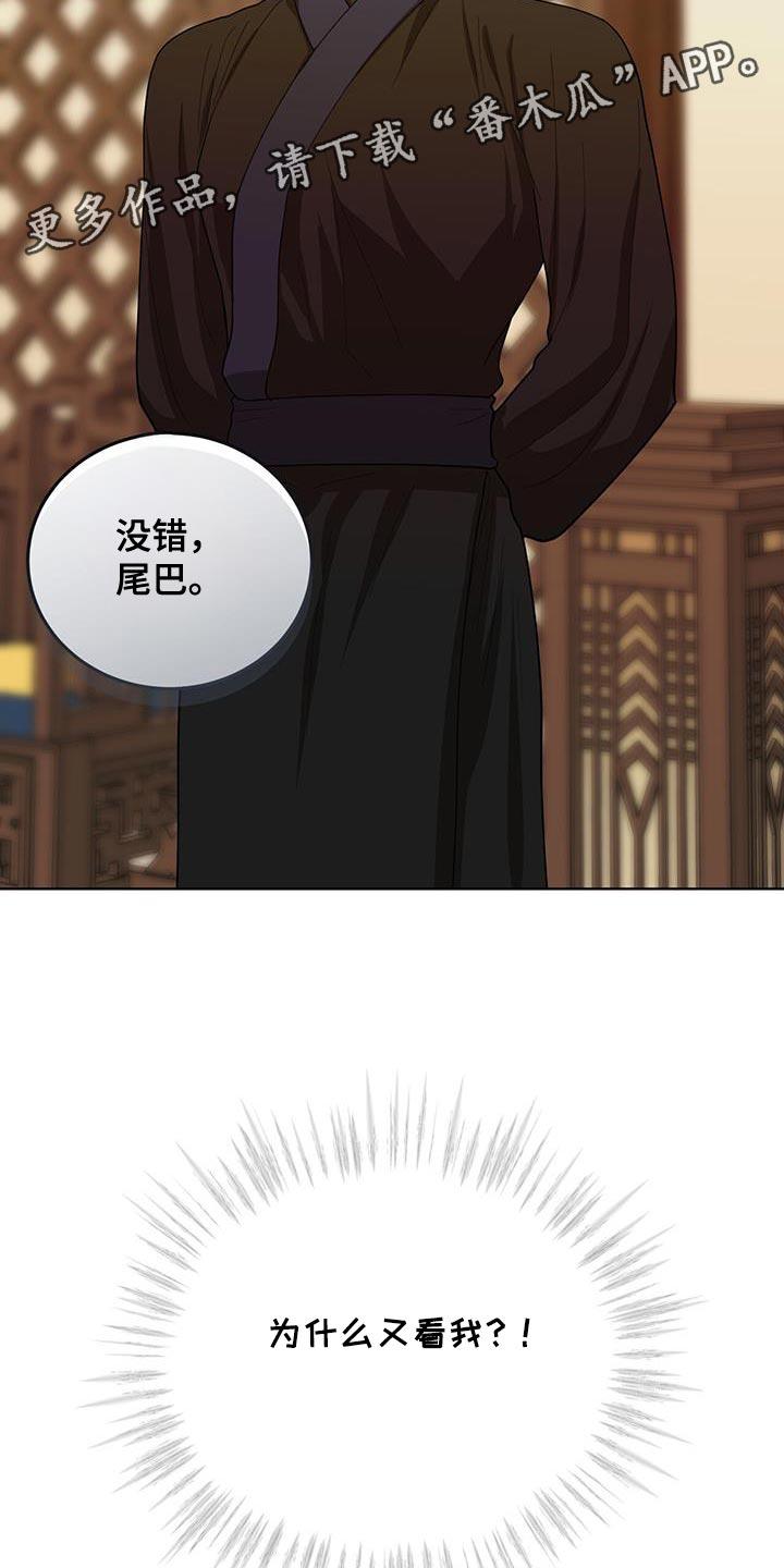 《魔影护卫》第54章：最好的尾巴 第32页