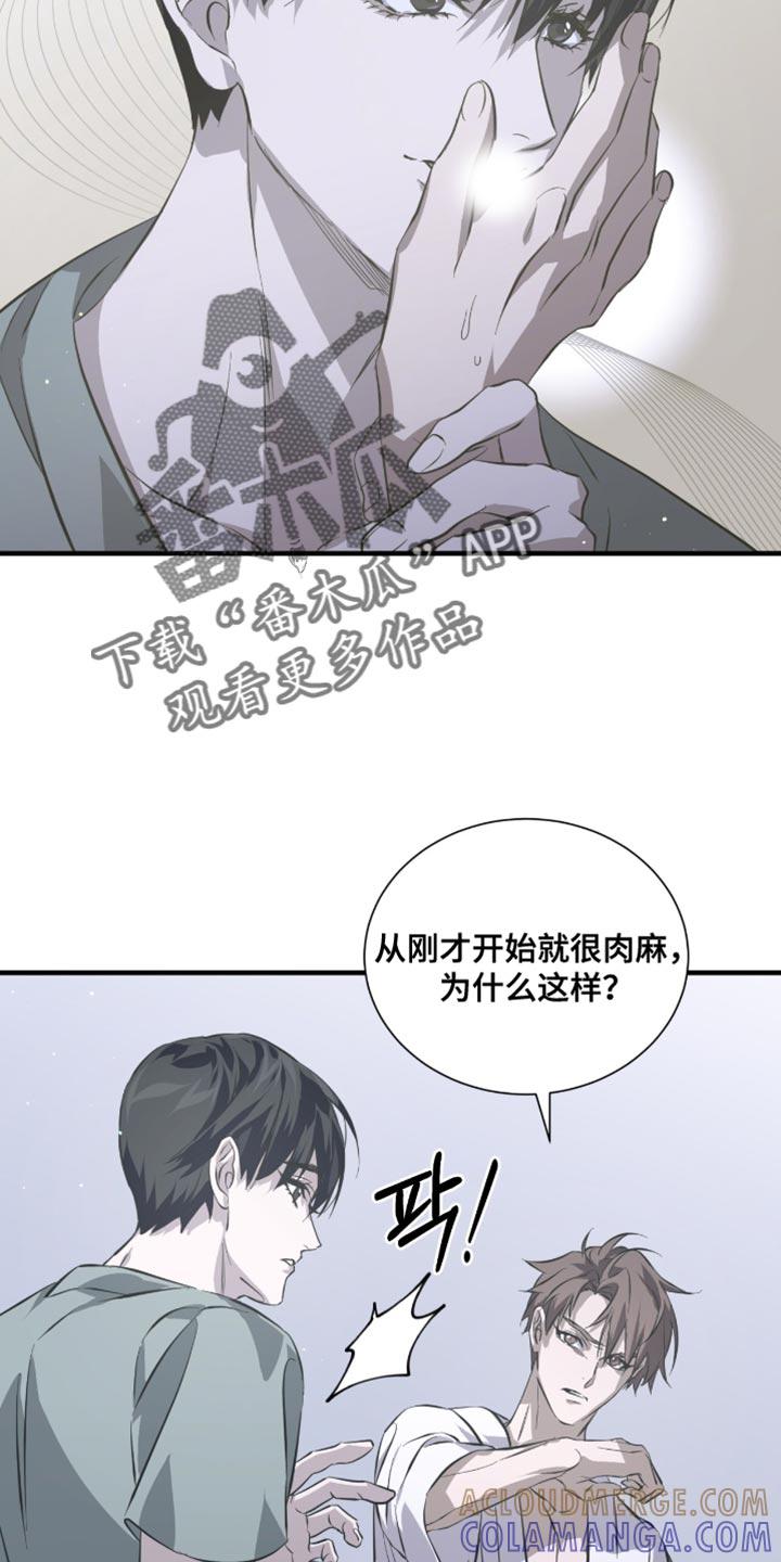 《绝命扣押》第56章：太好看了 第31页