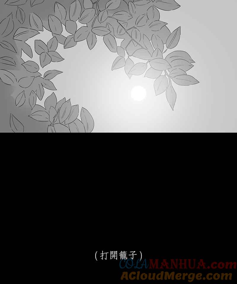 黑盒子 [第187话] 浪鸡天涯(3) 第27页