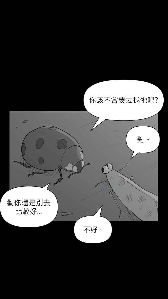 黑盒子 [356话] 奇蹟亭(3) 第20页