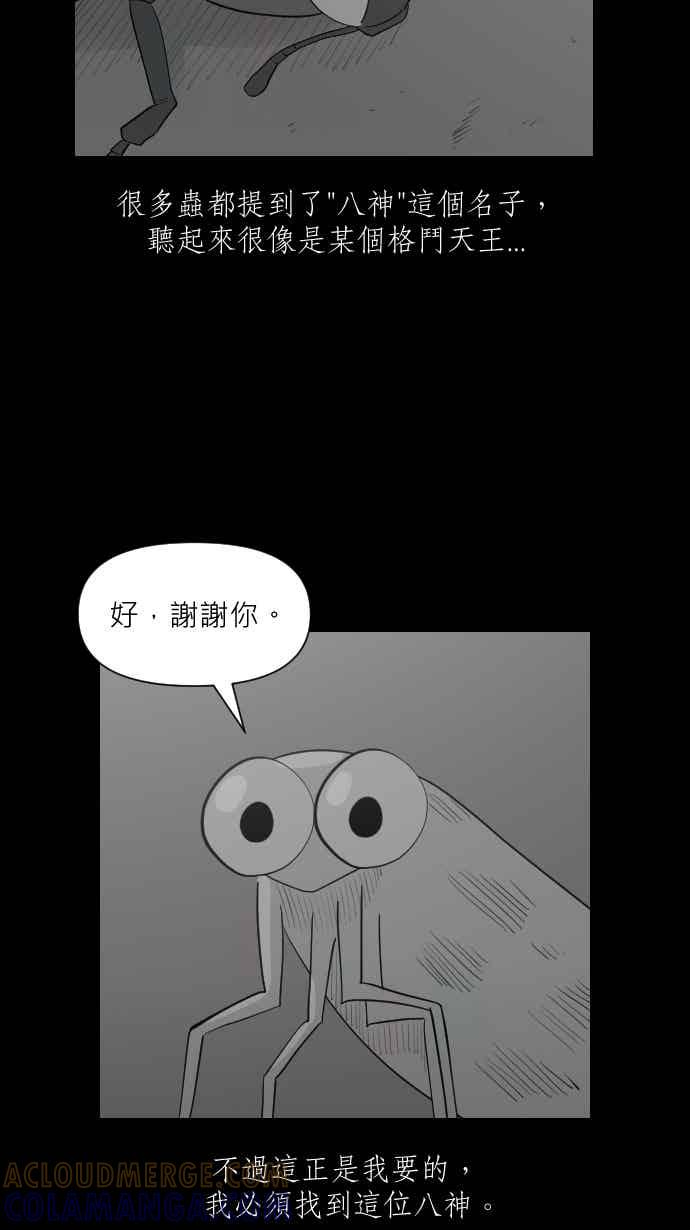 黑盒子 [356话] 奇蹟亭(3) 第19页