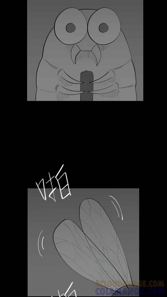 黑盒子 [356话] 奇蹟亭(3) 第5页