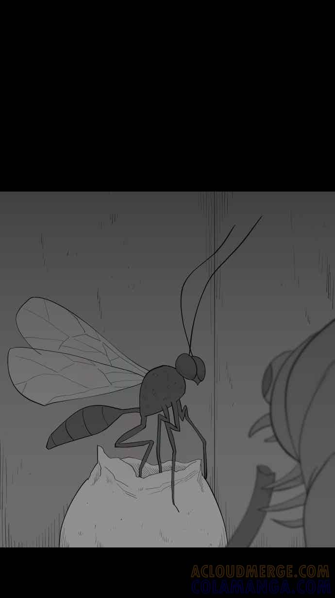 黑盒子 [356话] 奇蹟亭(3) 第3页