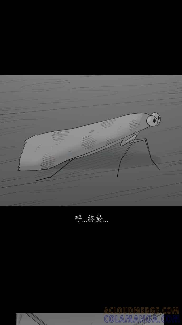 黑盒子 [356话] 奇蹟亭(3) 第15页