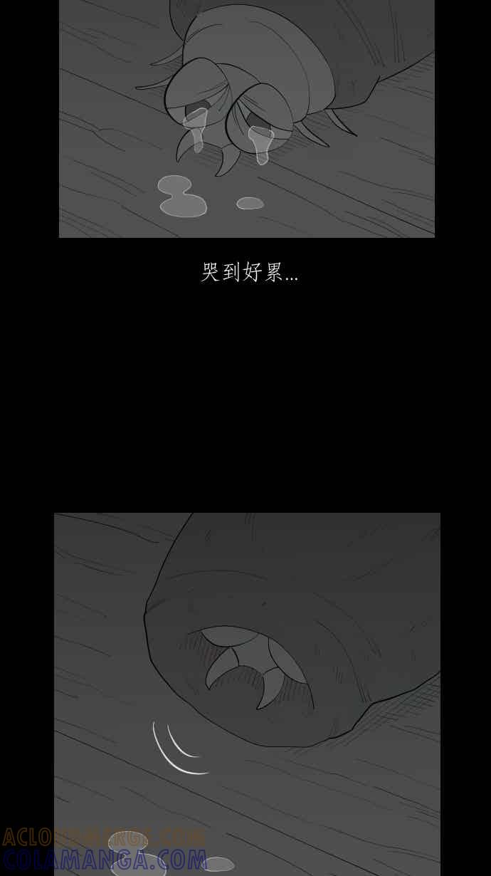 黑盒子 [356话] 奇蹟亭(3) 第11页