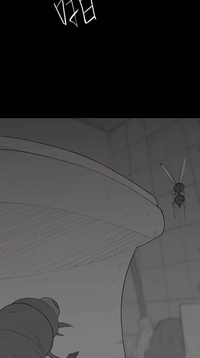 黑盒子 [356话] 奇蹟亭(3) 第6页