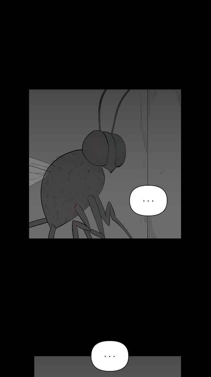 黑盒子 [356话] 奇蹟亭(3) 第4页