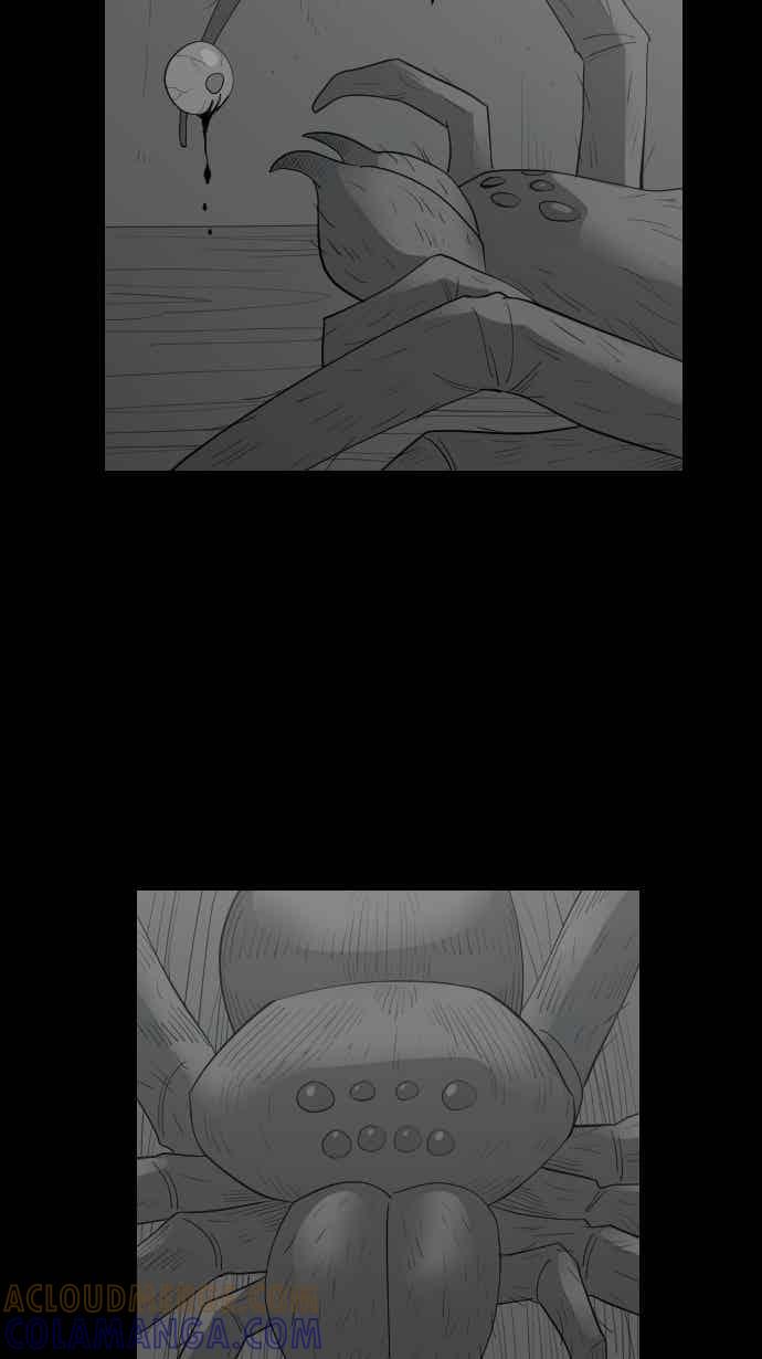 黑盒子 [357话] 奇蹟亭(4) 第5页