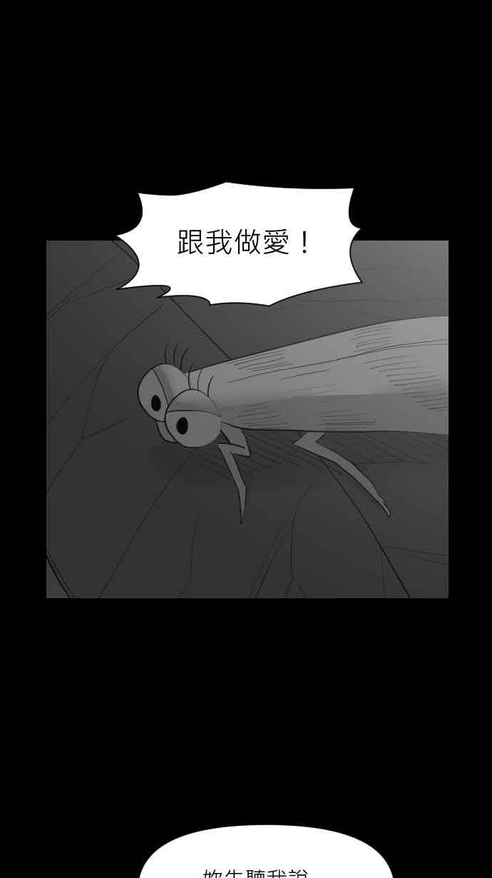 黑盒子 [357话] 奇蹟亭(4) 第14页