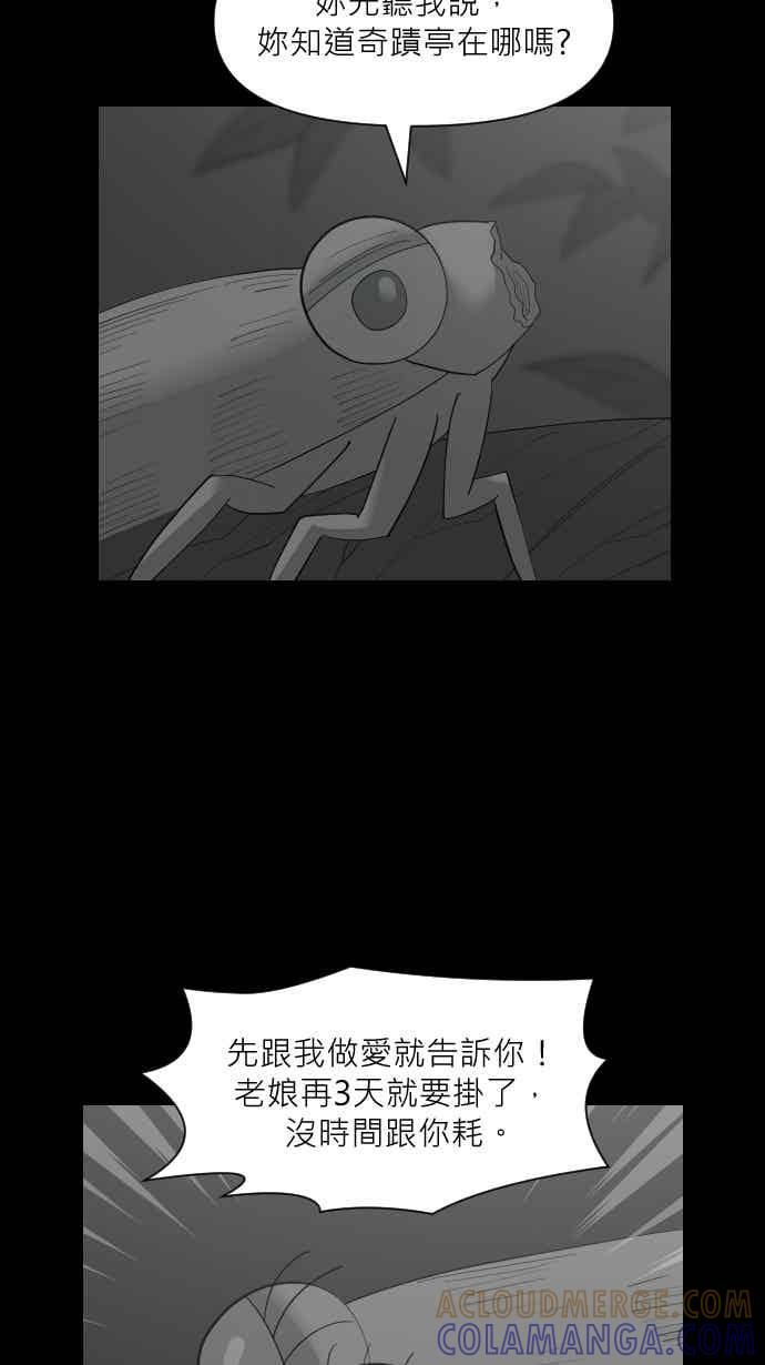 黑盒子 [357话] 奇蹟亭(4) 第15页