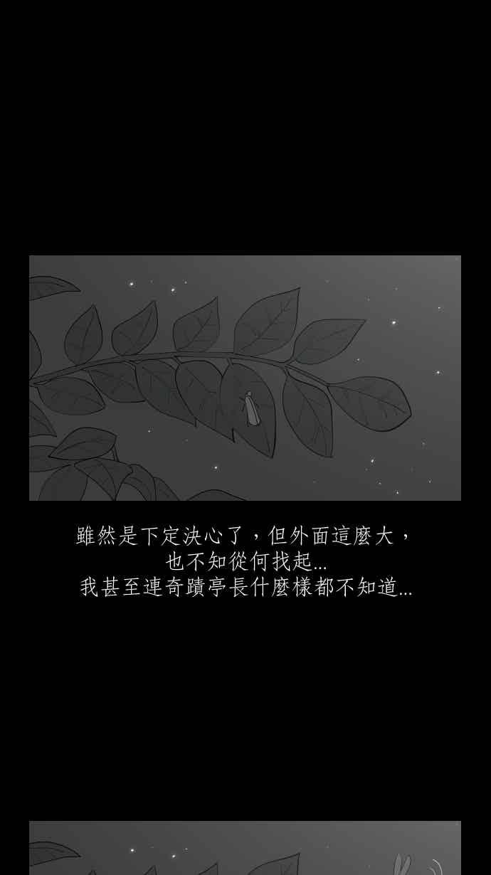 黑盒子 [357话] 奇蹟亭(4) 第12页
