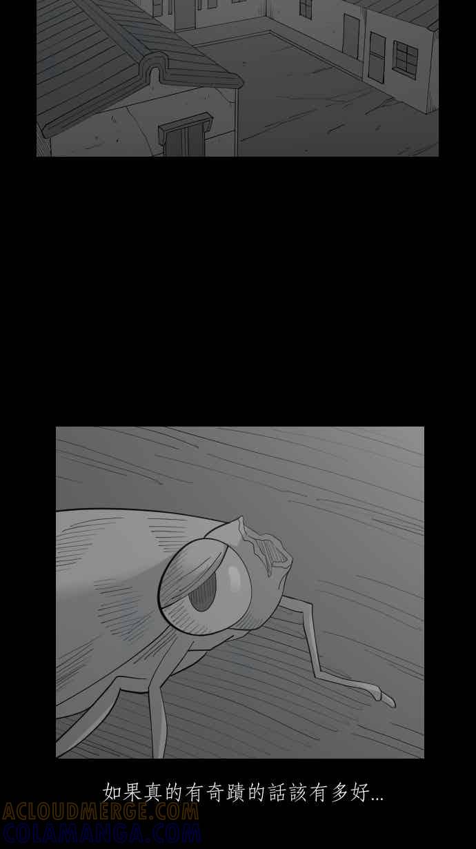 黑盒子 [357话] 奇蹟亭(4) 第9页