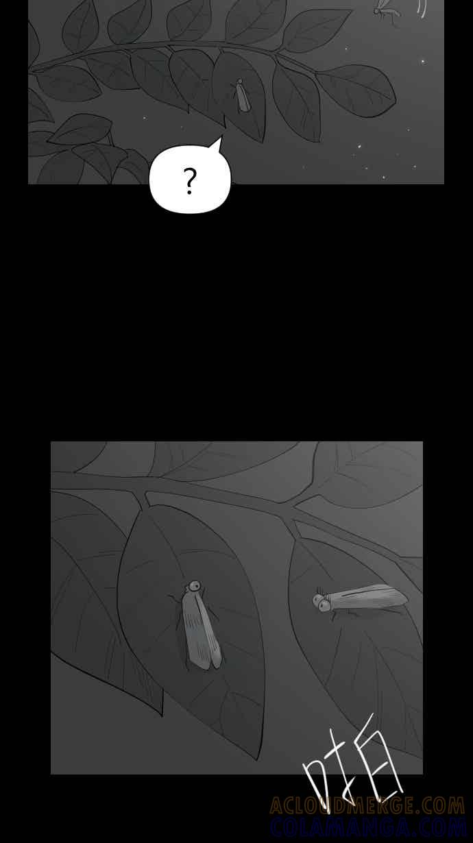 黑盒子 [357话] 奇蹟亭(4) 第13页