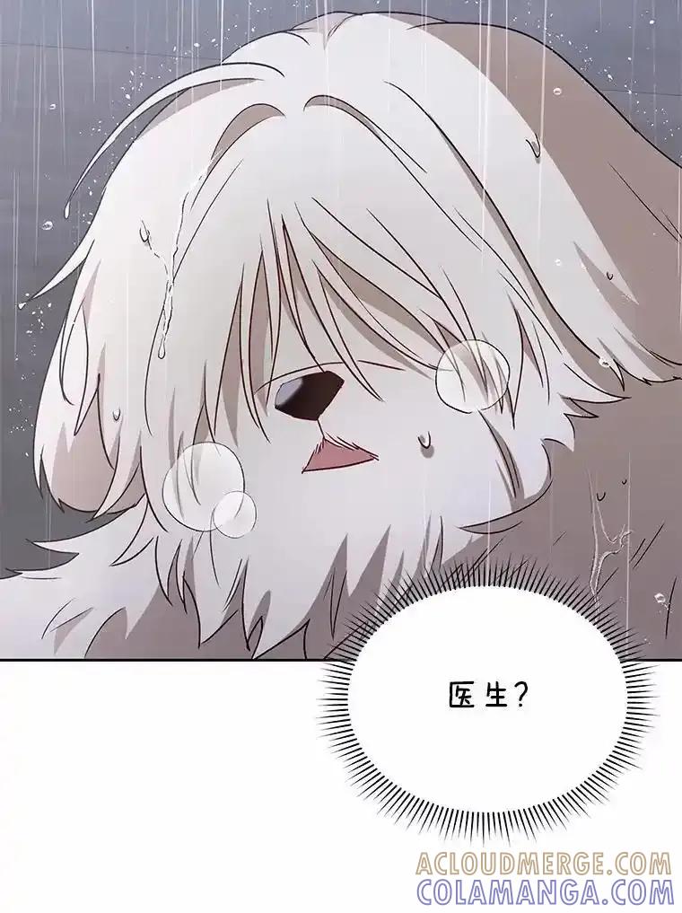 《你好？兽医先生！》58.小古历险记（2） 第17页