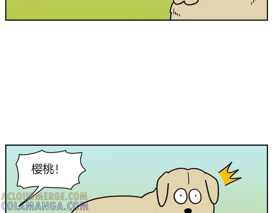《我的狗子叫棉花》第51话 没有狗狗就互不相识的人们 第37页