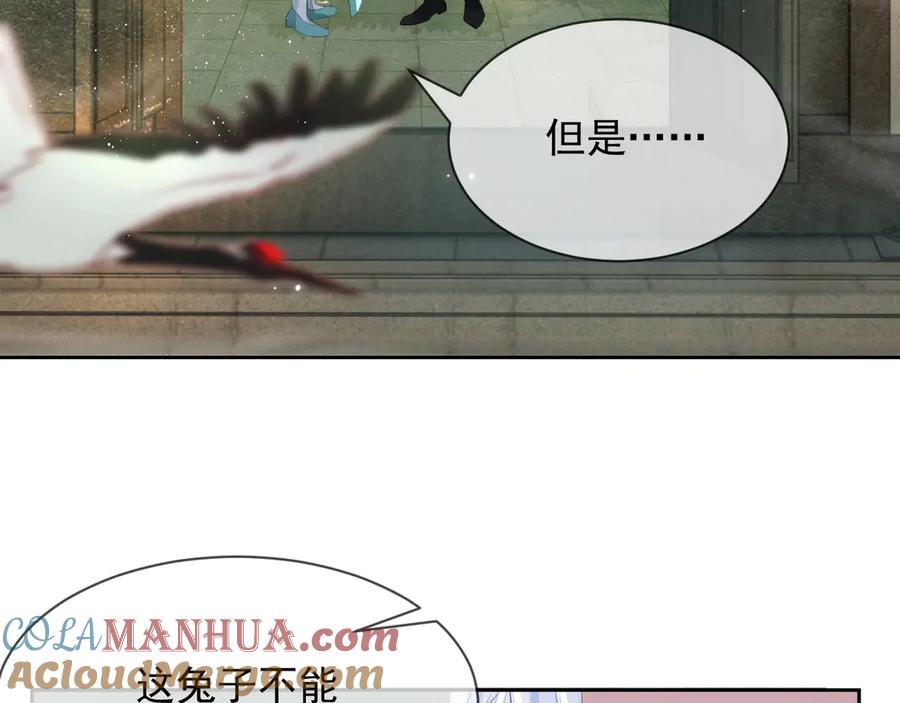 黑化男主在线养兔 第8话 带着兔子去学院 第73页