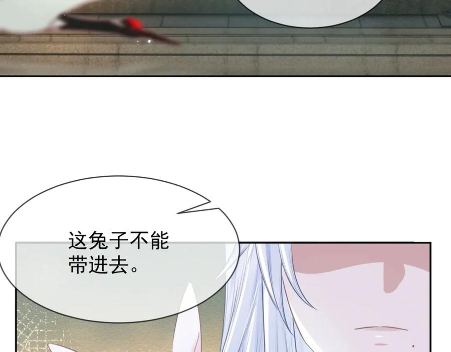 黑化男主在线养兔 第9话 玩兔子丧志？！ 第59页