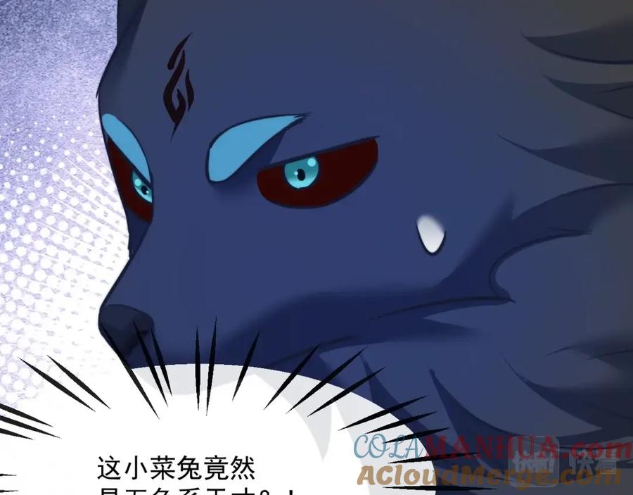 黑化男主在线养兔 第19话 蠢兔子竟是天才？！ 第97页