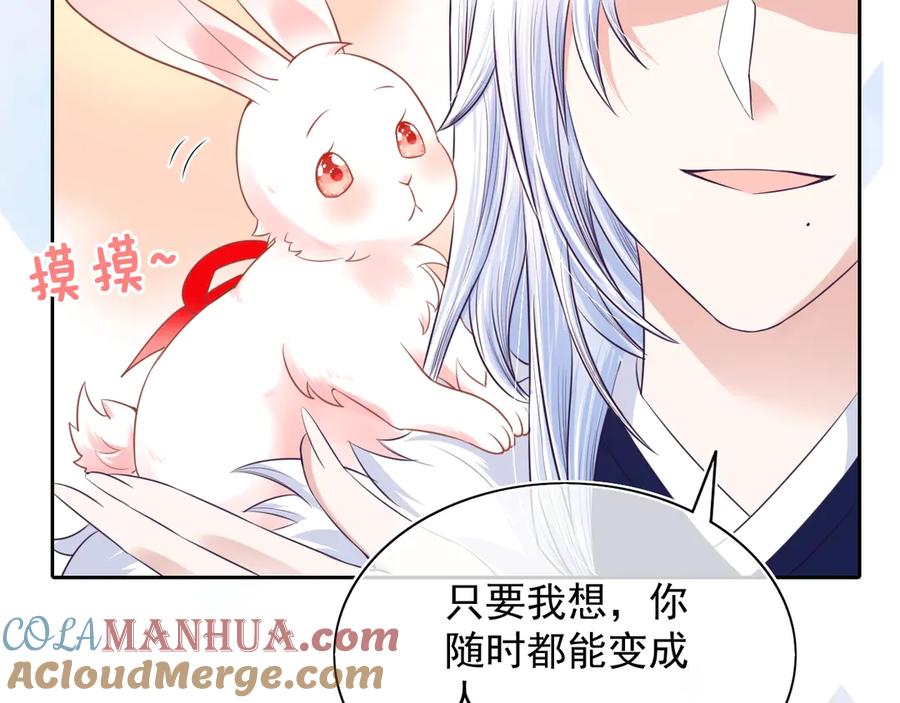 黑化男主在线养兔 序章 一起云养兔吧！ 第37页