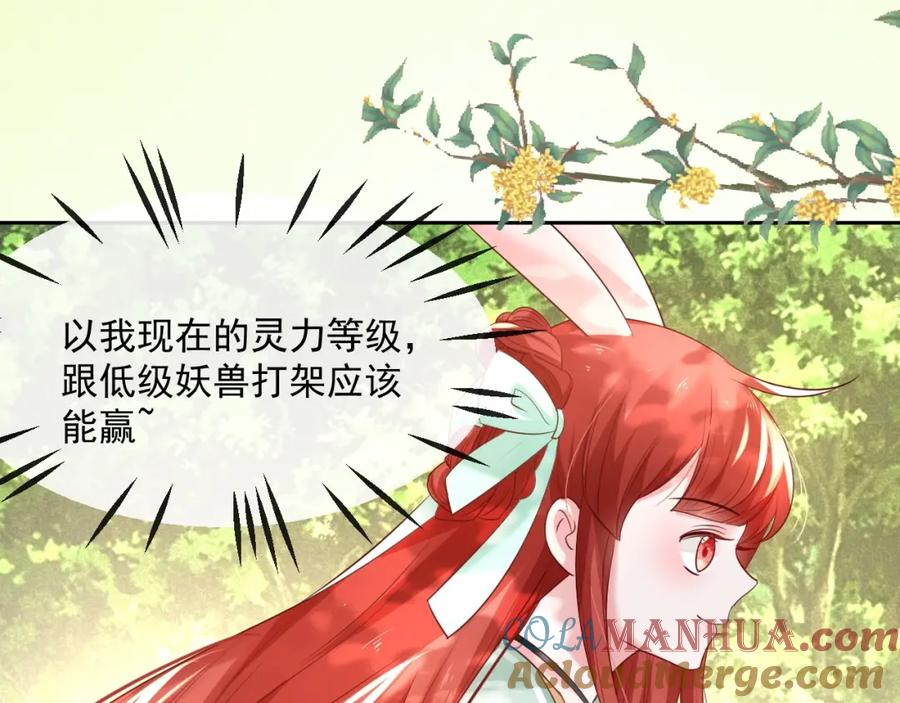 黑化男主在线养兔 第30话 危险！危险！ 第13页