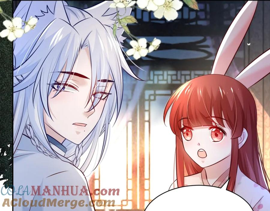 黑化男主在线养兔 第38话 敢动我的兔子？！ 第13页