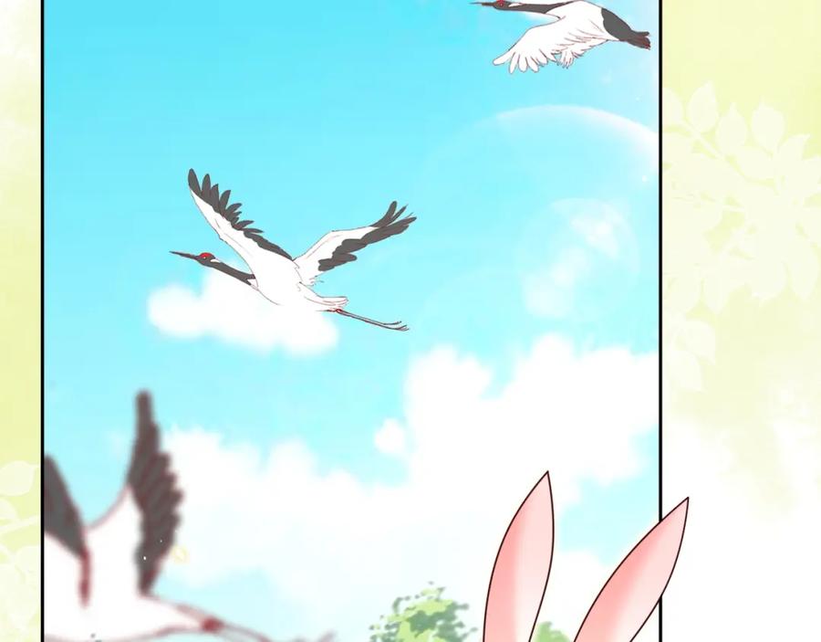 黑化男主在线养兔 第44话 算算账 第6页