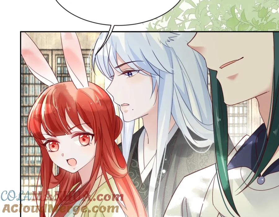 黑化男主在线养兔 第49话 不让你受伤 第29页
