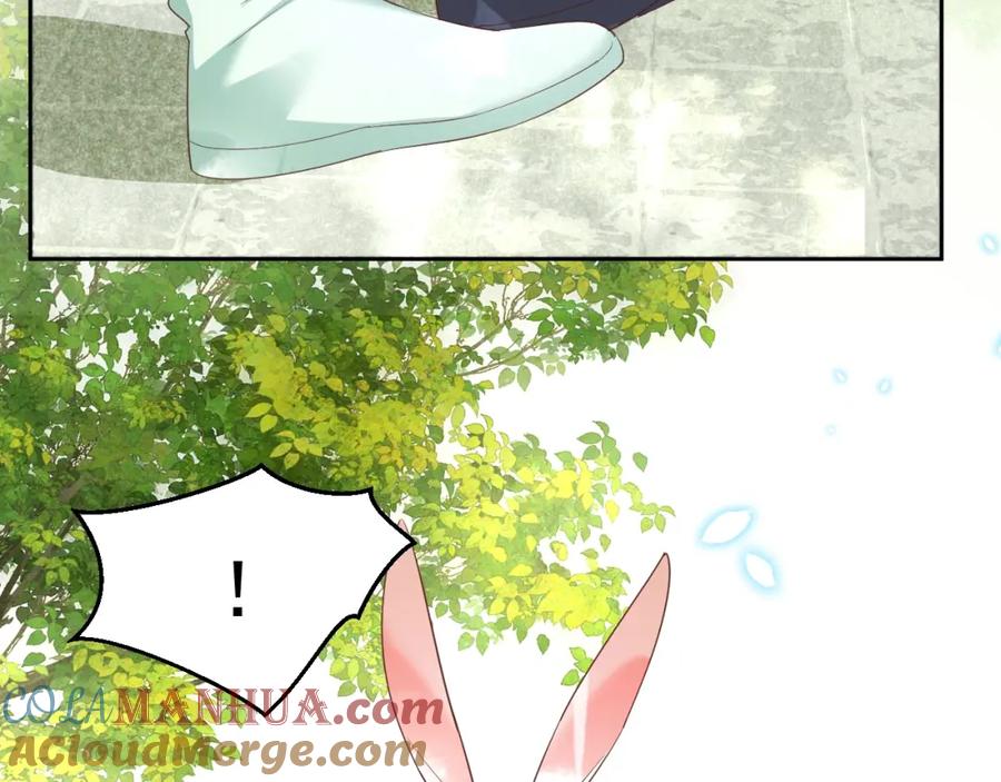 黑化男主在线养兔 第49话 不让你受伤 第17页