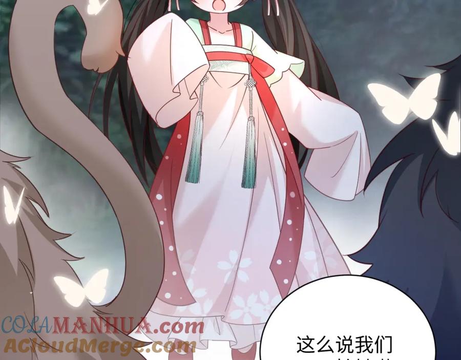 黑化男主在线养兔 第51话 收服少女？ 第40页