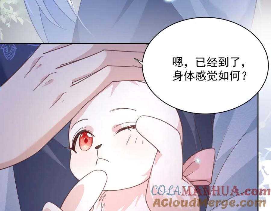 黑化男主在线养兔 第69话 兔子，跟我回家 第31页