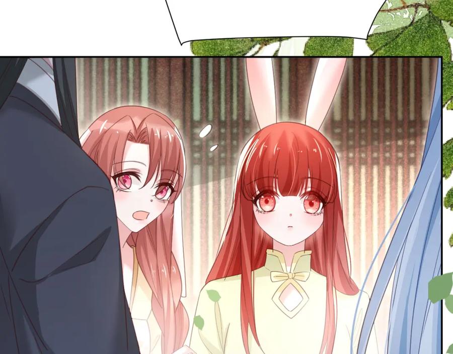 黑化男主在线养兔 第74话 兔子被封妃 第27页