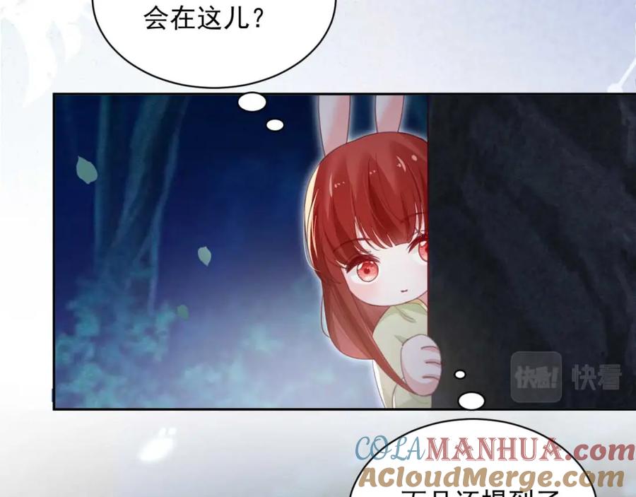 黑化男主在线养兔 第75话 狐狸追妻 第22页