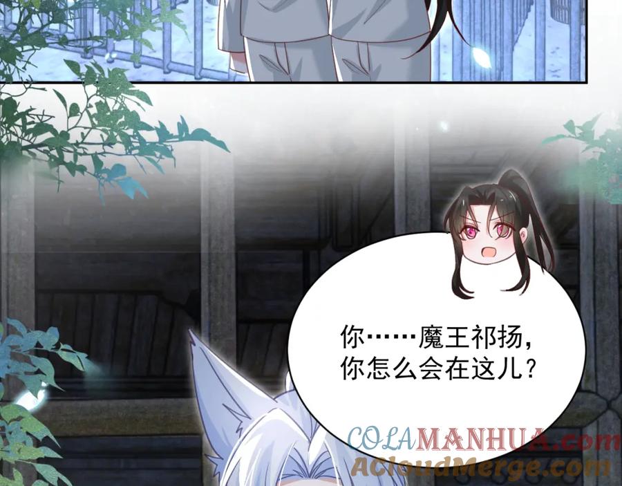 黑化男主在线养兔 第81话 狐狸救妻 第37页