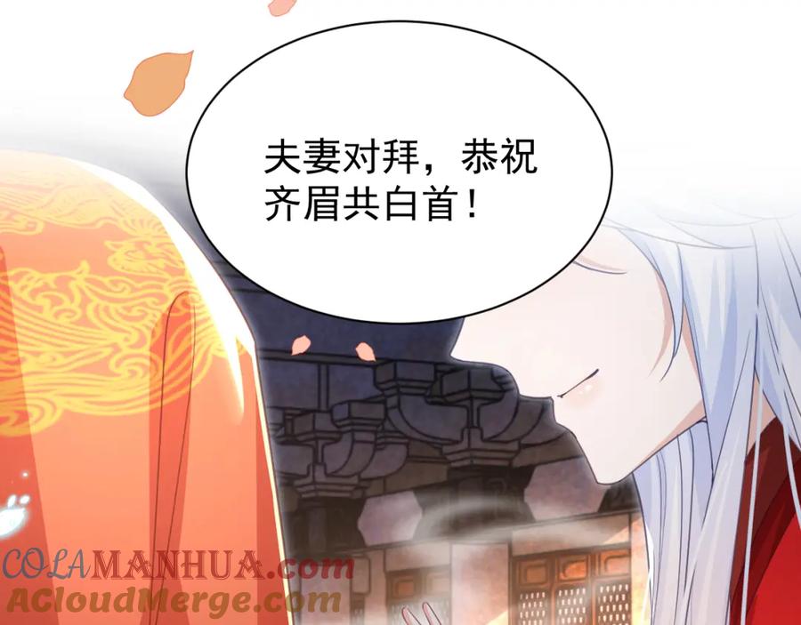 黑化男主在线养兔 第95话 齐眉共白首 第73页