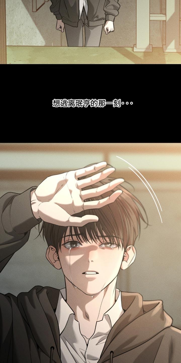 《纯白的假象》第108章：【第二季】没有他能活下去吗 第16页