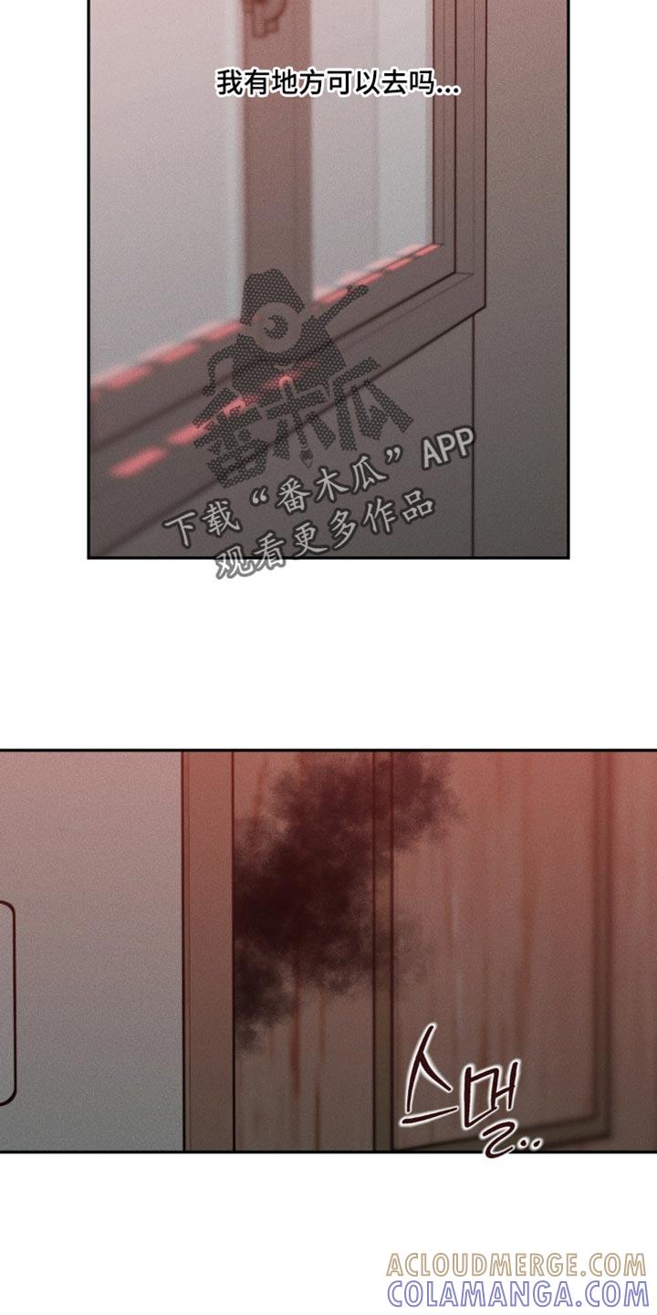 《纯白的假象》第109章：【第二季】我到底做错了什么 第15页