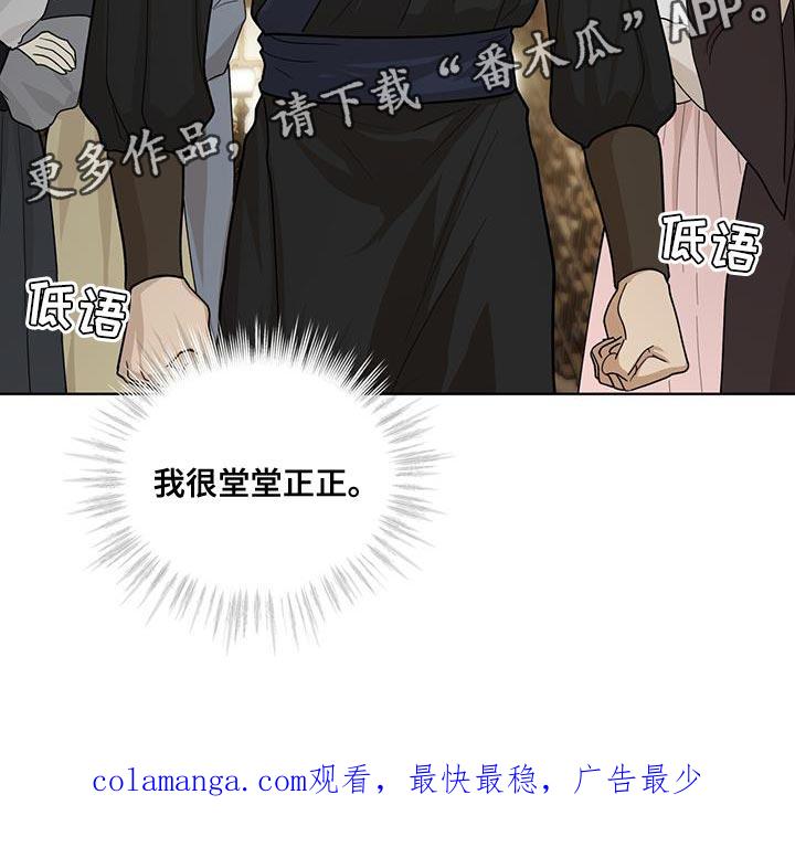 《魔影护卫》第40章：堂堂正正 第22页