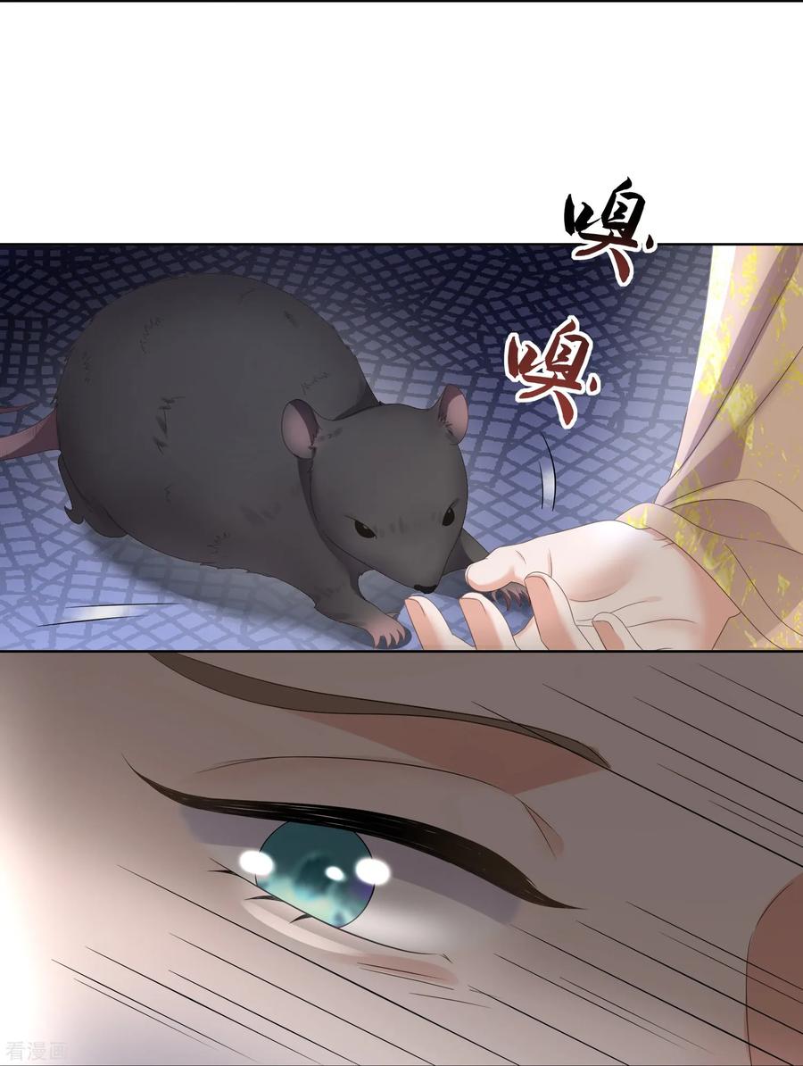 《黑莲花学习手册》第156话 南齐崔家 第10页