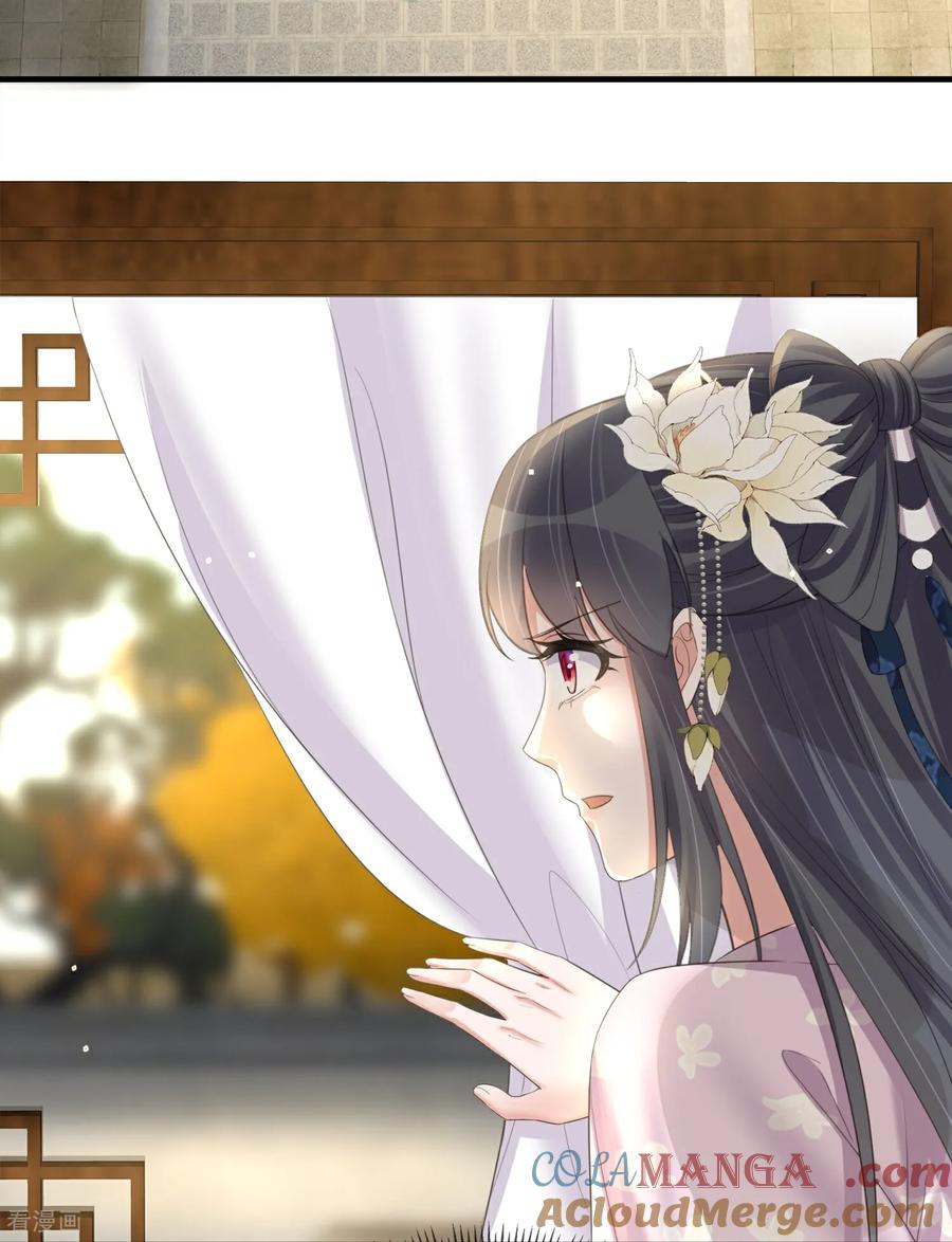 《黑莲花学习手册》第187话 就等你单独行动了 第11页
