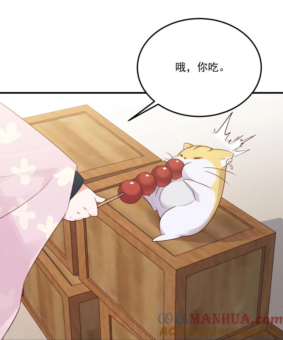 《黑莲花学习手册》第52话 怪我知道的太多 第37页