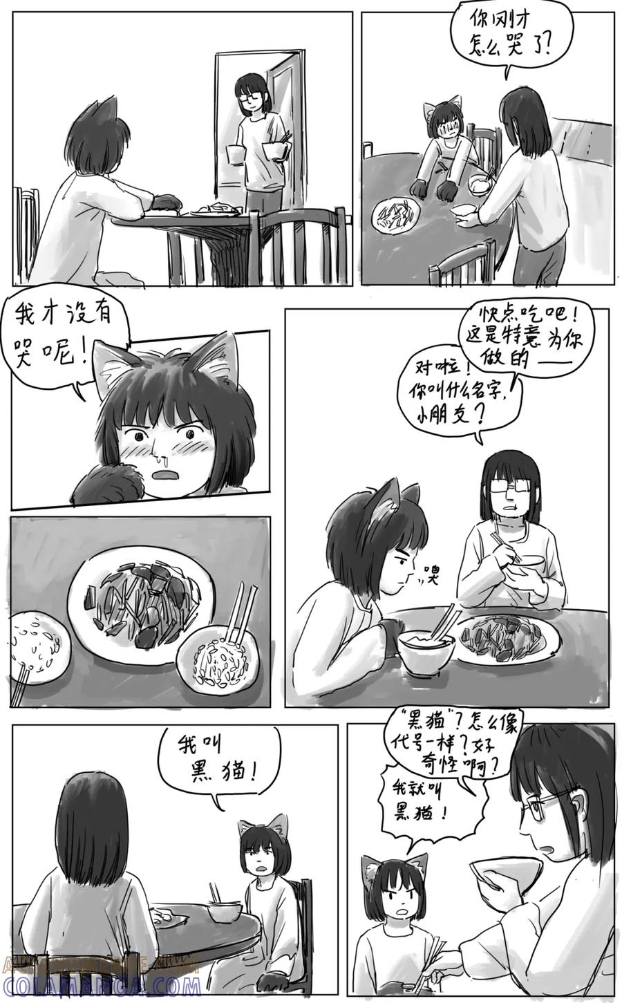 《黑猫和狐狸》10 第6页