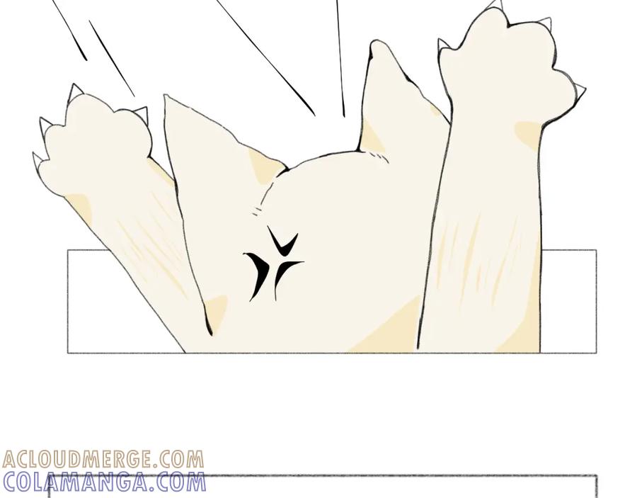 臆想 - 逗猫 - 第25张图
