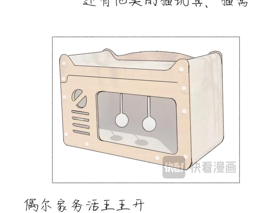臆想 - 逗猫 - 第14张图