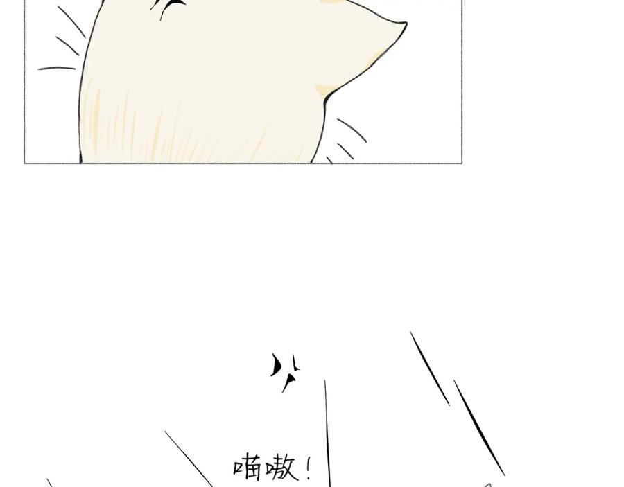 臆想 - 逗猫 - 第24张图