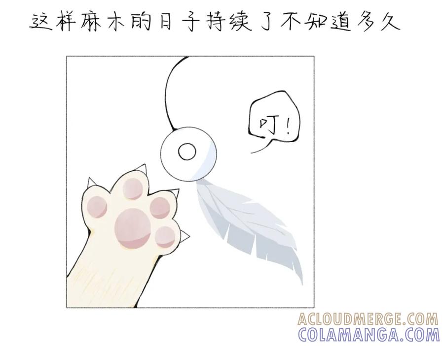 臆想 - 逗猫 - 第21张图