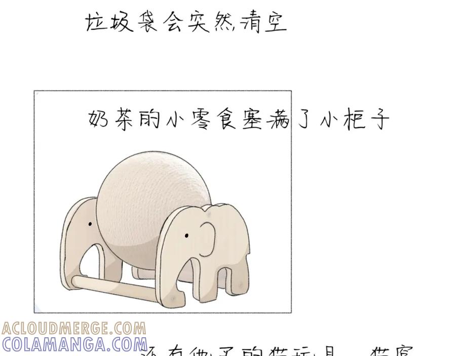 臆想 - 逗猫 - 第13张图