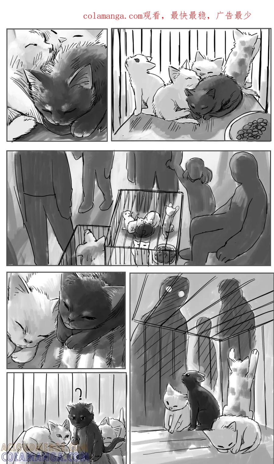 《黑猫和狐狸》9 第1页